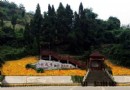 墊江牡丹生態旅游區