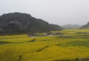 竹林公園