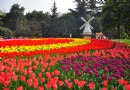 花卉園