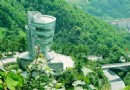 南山一棵樹觀景台