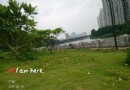 增埗公園
