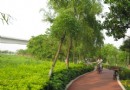 蕉門河綠道