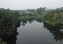 上湧果樹公園