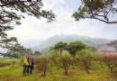 十八羅漢山森林公園
