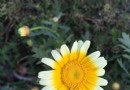 龍眼洞森林公園