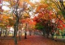 香雪公園