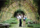 基塘田園