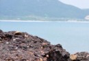 壩光海灘