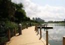 華僑城濕地公園