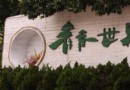 青青世界