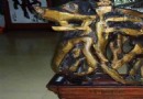中華吉祥龍文化園