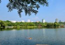 西南公園