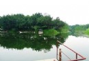 南海大濕地公園