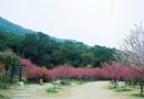 竹仙洞