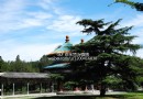 北京天壇公園的古柏與休閒風