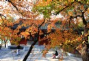 【實拍】北京紫竹院公園濃濃秋意：沉醉不知