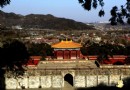 【北京】香山公園臘梅綻放報春來
