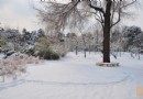 下雪啦，北京又下雪啦！