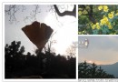 【慢游北京】生活即是旅行 遇見八處難忘秋色