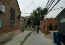 走進北京胡同