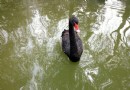 大興野生動物園一日游