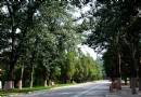 地壇公園，觸摸老北京的靈魂