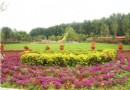京郊意大利農場 免費休閒親子好去處