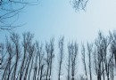 【踏青】春日周末輕旅行——尋覓京郊世外桃源