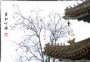 雍和聽禅