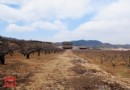 乾隆皇帝的特種兵訓練基地