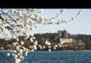 頤和園春色滿園【28圖】