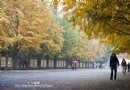 天壇秋色
