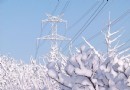 北京春季大雪之後賞雪掛