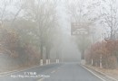 霧中尋秋