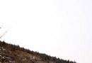 【北京】雪後的千靈山風景區