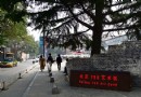 【北京798藝術區】（一）外部環境-- 隨意的塗鴉、花哨的廣告、荒唐的雕塑