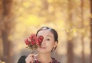 【北京昌平張各莊銀杏林】第三組：聽銀杏葉落的聲音