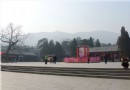 香山臘梅喜迎春