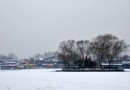 北京記憶：2014年的那場春雪 之 什剎海掠影