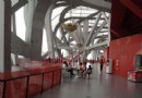 一個理工男的鳥巢探索之旅
