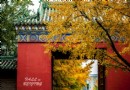 就這樣生活在北京——2014年北京的秋天