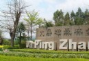 大屏障森林公園