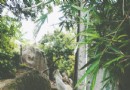 鳳崗村