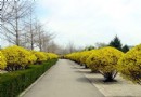 龍港公園