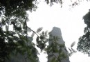 三洲巖