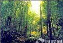 萬竹園
