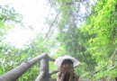 楊東山十二度水自然保護區