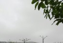 螺崗嶺