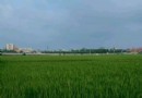 鷹峰嶺