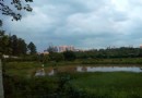 南國熱帶花園